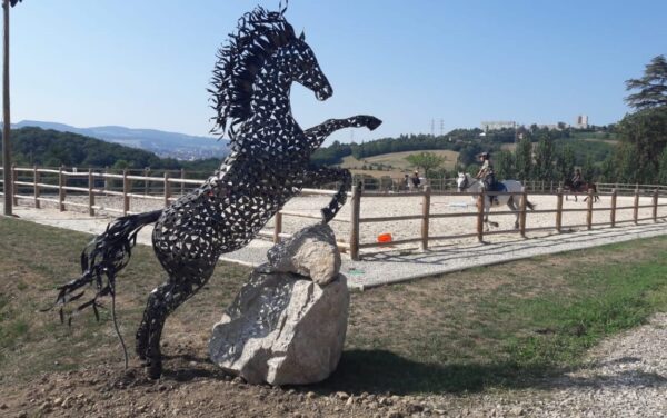 Cheval Cabré – Image 3