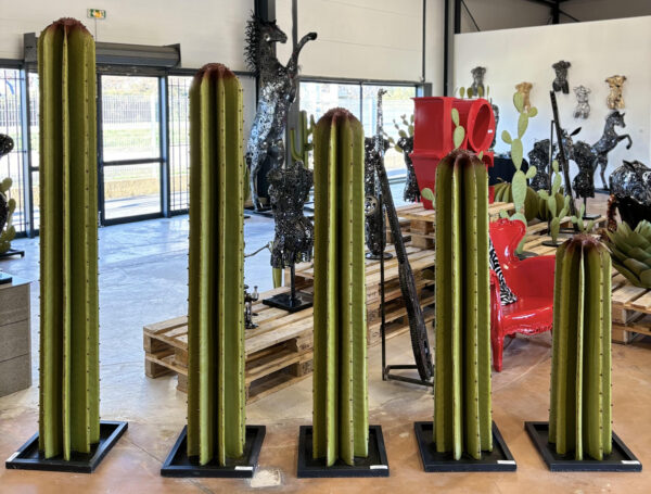 Cactus droit – Image 3