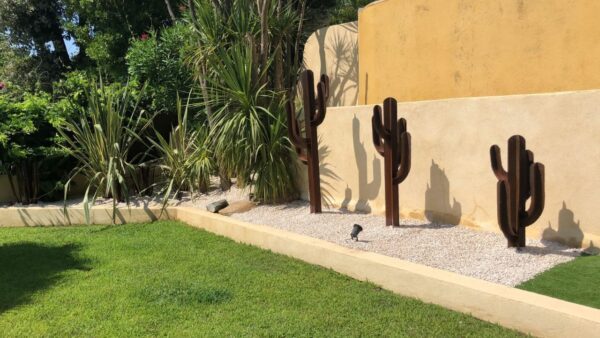 Cactus Mexicain 4 branches – Image 2