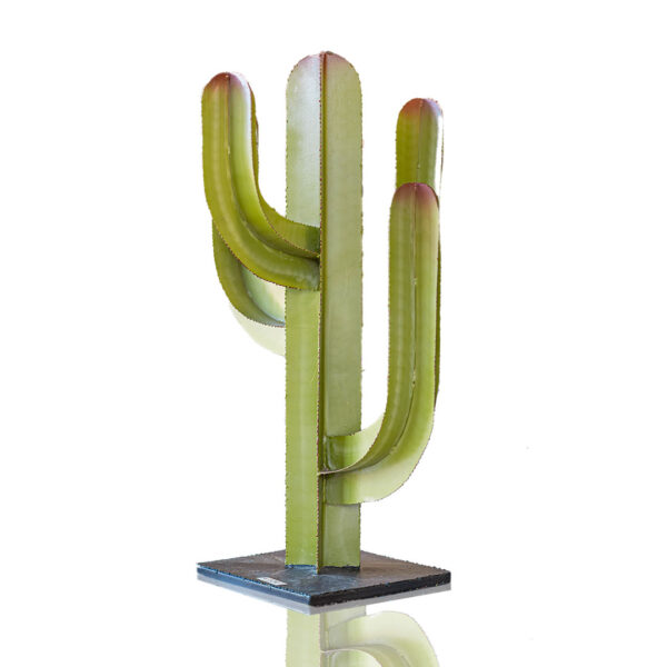 Cactus Mexicain 4 branches