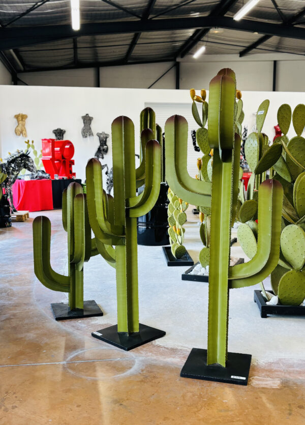 Cactus Mexicain 4 branches – Image 3