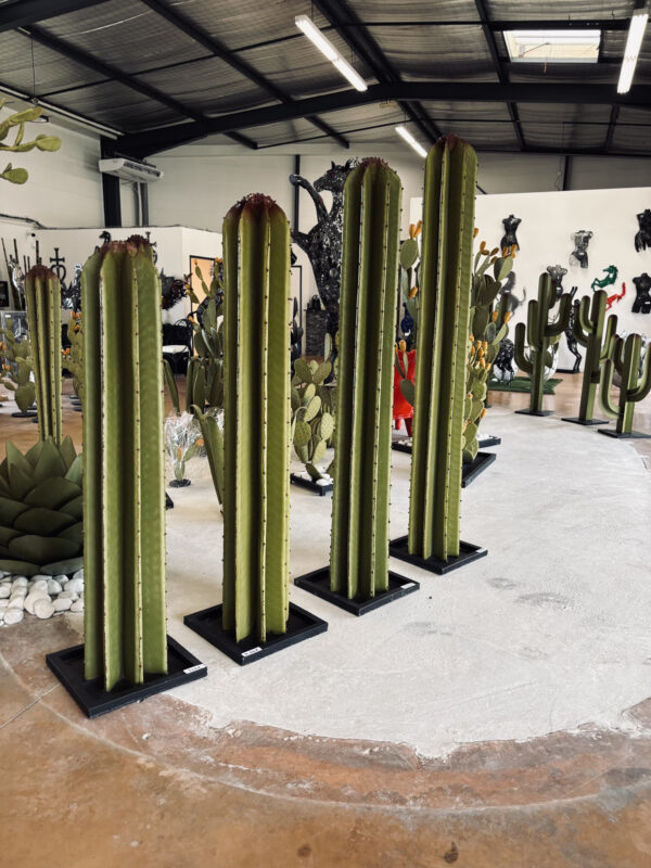 Cactus droit – Image 2