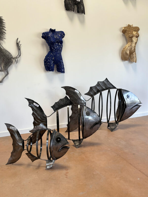 Poisson – Image 2