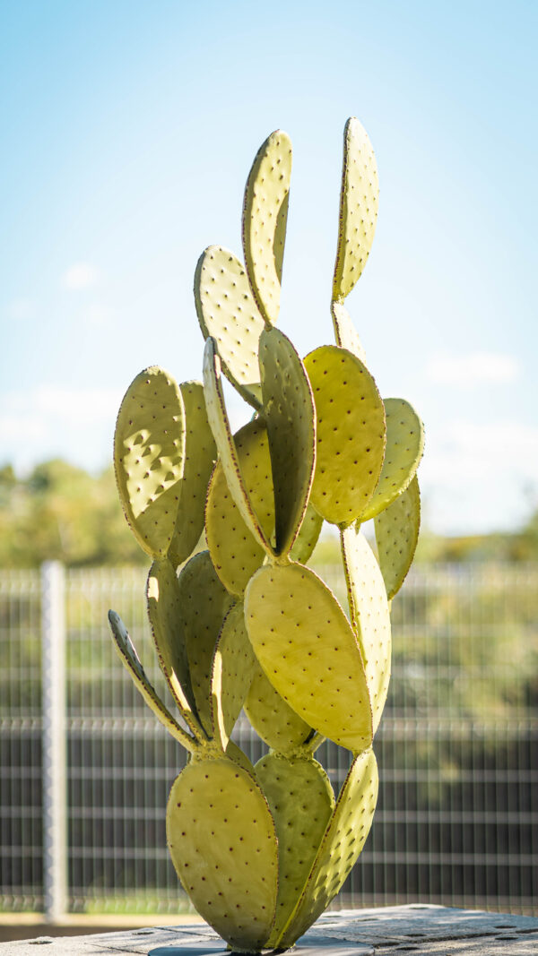 Cactus 4 branches socle rond – Image 2