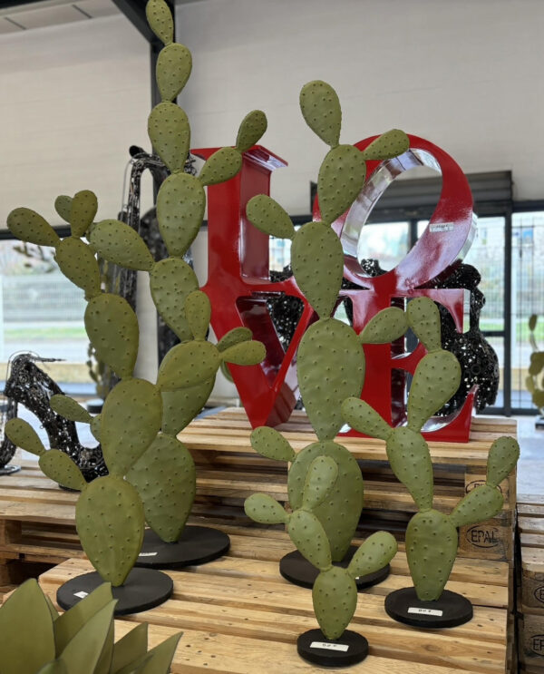 Cactus plat – Image 2
