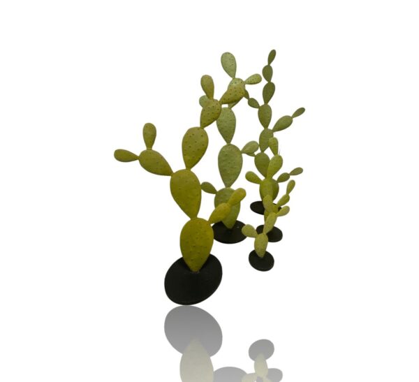 Cactus plat