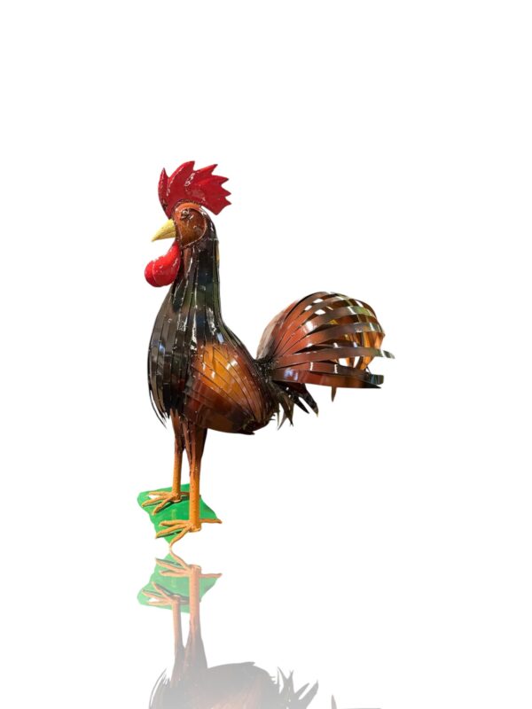 Coq