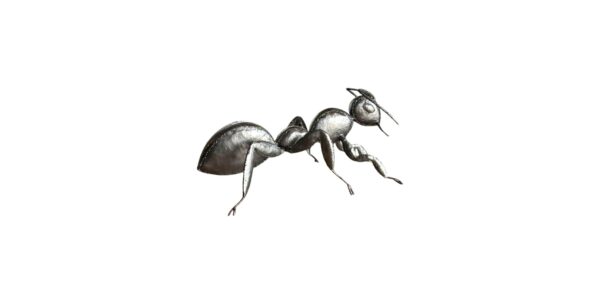 Fourmis
