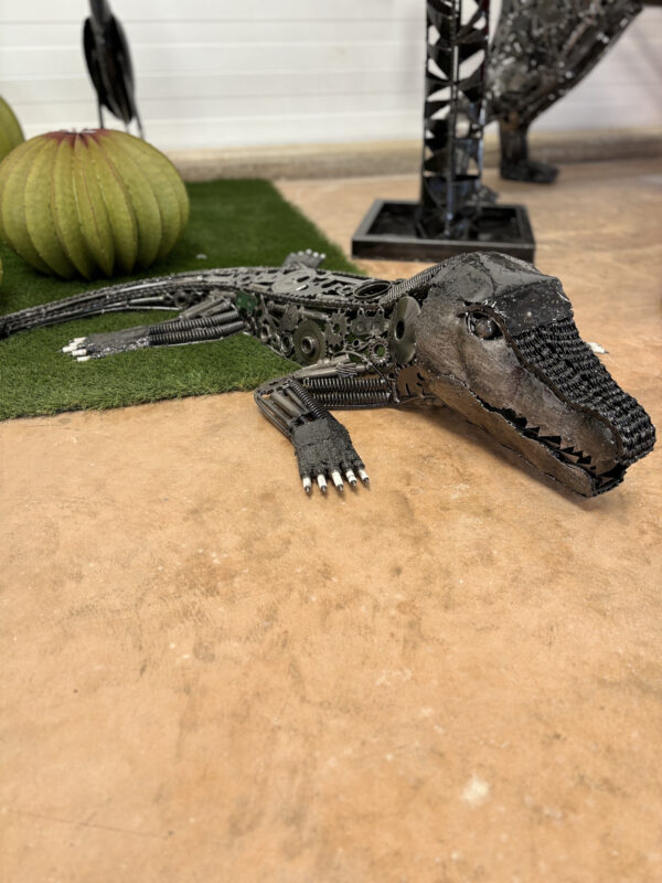 Crocodile – Image 3