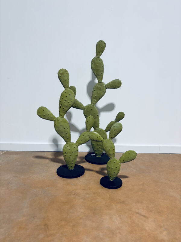 Cactus plat – Image 3