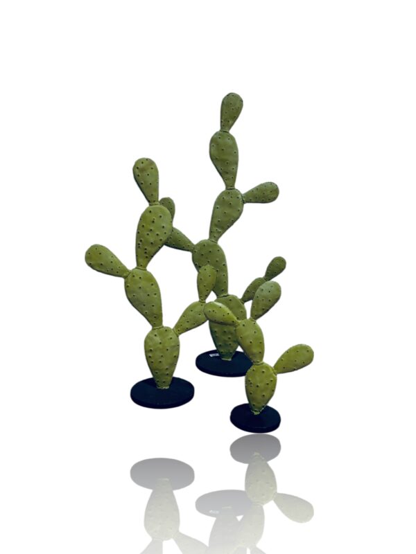 Cactus plat