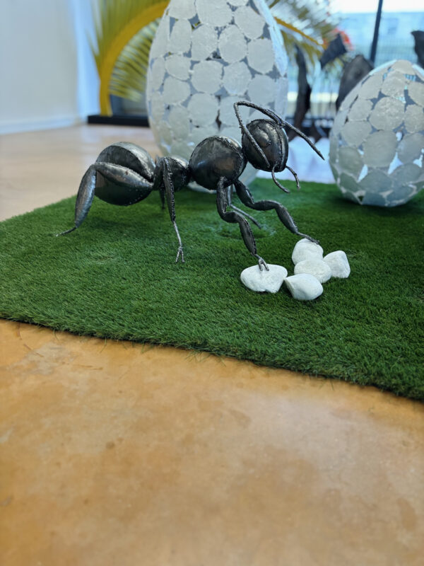 Fourmis – Image 3